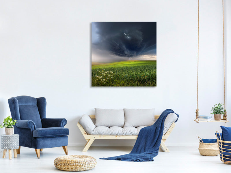 canvas-print-june-storm