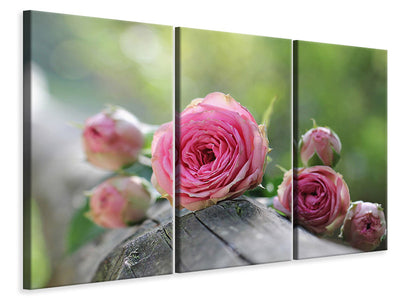 3-piece-canvas-print-bush-roses