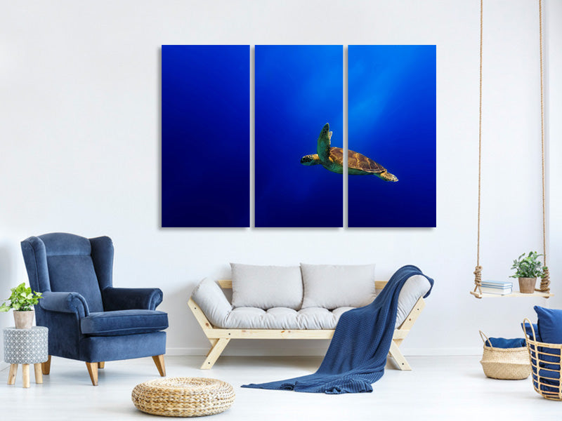 3-piece-canvas-print-flying