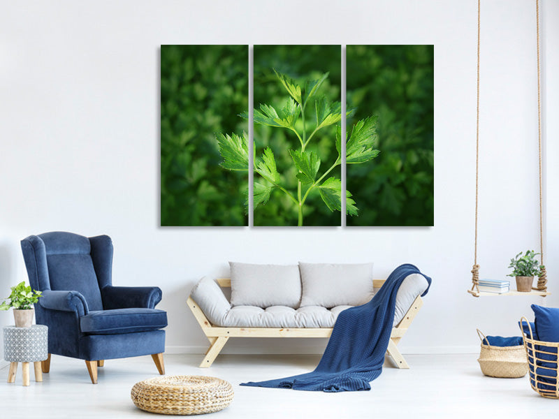 3-piece-canvas-print-fresh-parsley