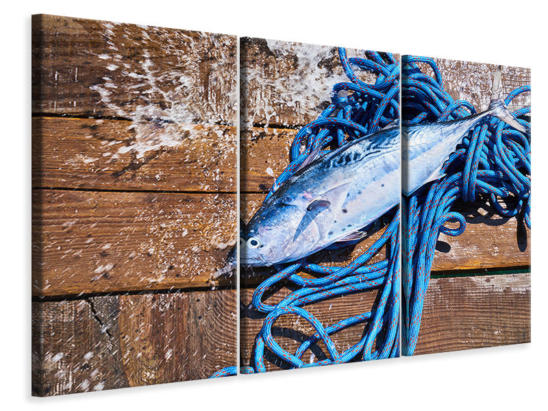 3-piece-canvas-print-freshly-caught-fish