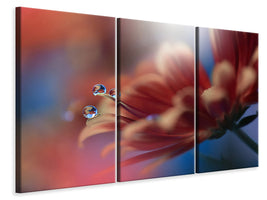 3-piece-canvas-print-inmost