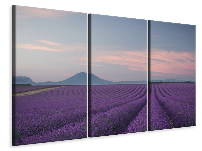 3-piece-canvas-print-lavender-field