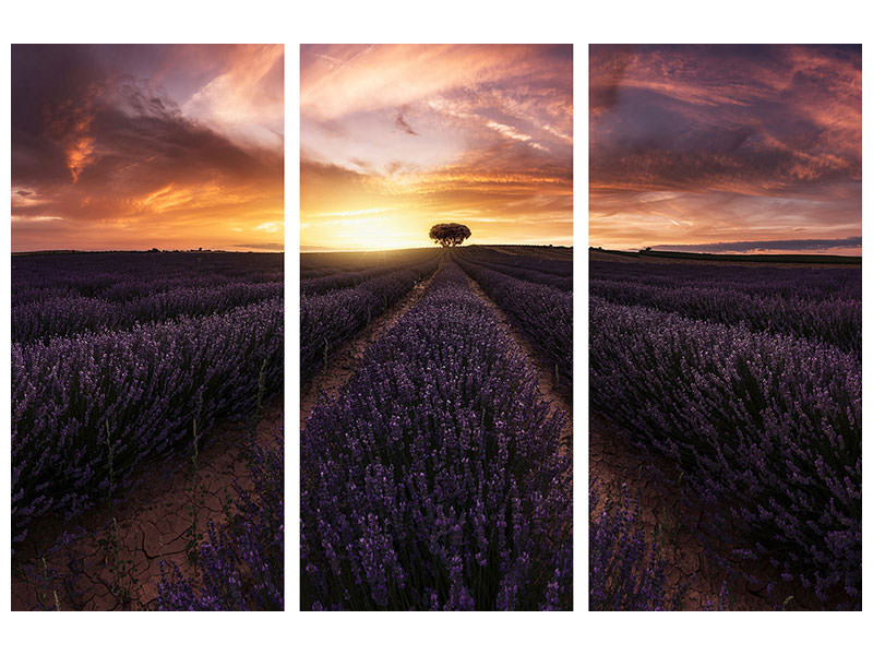 3-piece-canvas-print-lavender-sunset