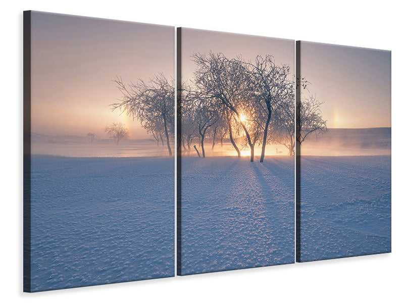 3-piece-canvas-print-swan-lake