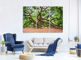 3-piece-canvas-print-the-oak