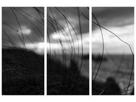 3-piece-canvas-print-the-wind-brings-the-night