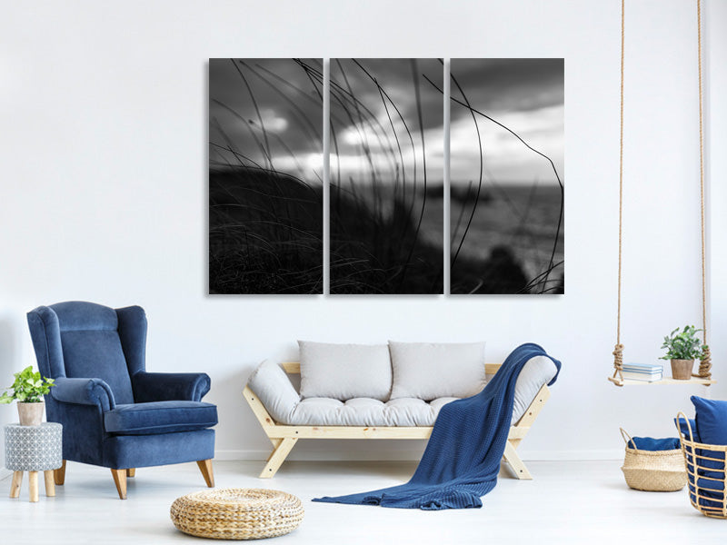 3-piece-canvas-print-the-wind-brings-the-night