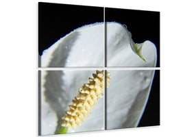 4-piece-canvas-print-calla-close-up-in-white