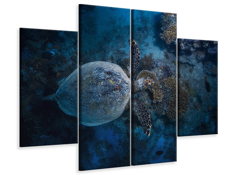 4-piece-canvas-print-hawksbill-sea-turtle-ii