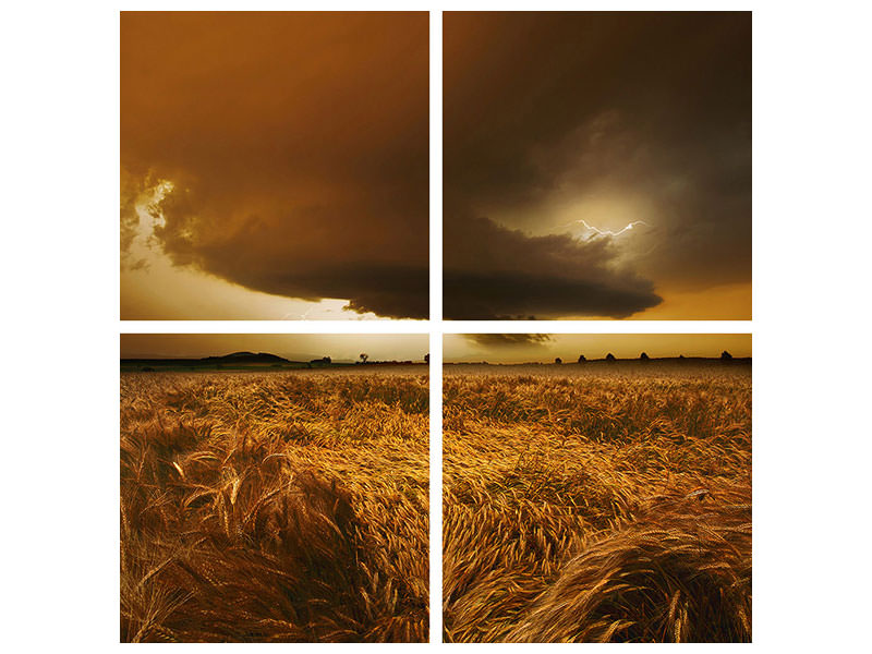 4-piece-canvas-print-spaetsommer-stimmung