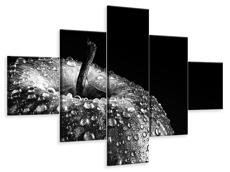 5-piece-canvas-print-appel