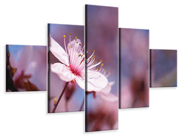 5-piece-canvas-print-close-up-cherry-blossom