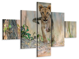 5-piece-canvas-print-cub-south-luangwa