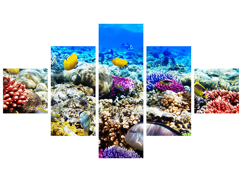 5-piece-canvas-print-fish-aquarium