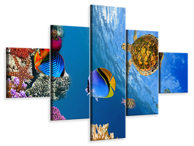5-piece-canvas-print-fish-in-the-water
