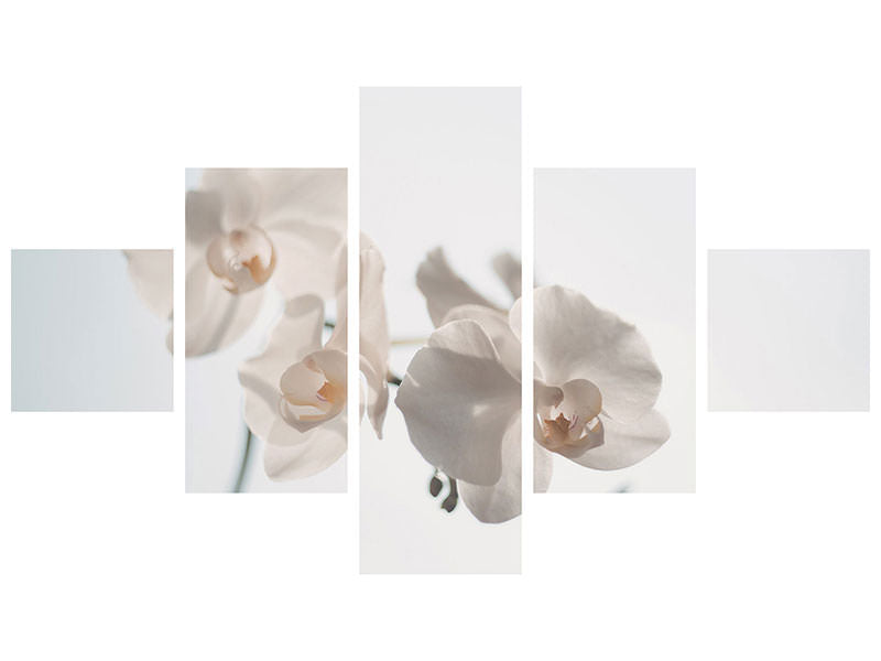 5-piece-canvas-print-graceful-orchids