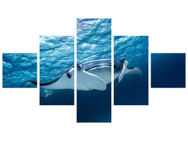 5-piece-canvas-print-manta-ray