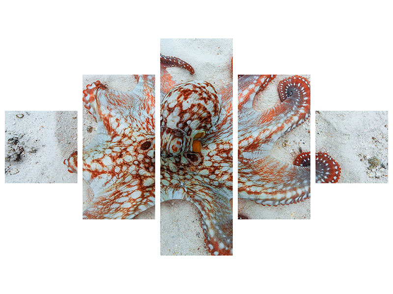 5-piece-canvas-print-octopus-a