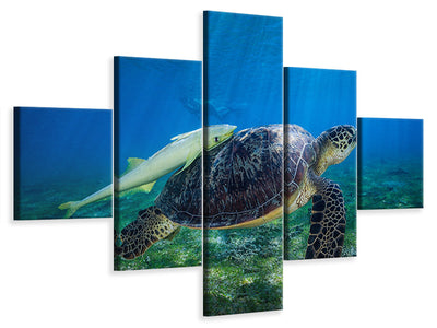 5-piece-canvas-print-sea-turtle