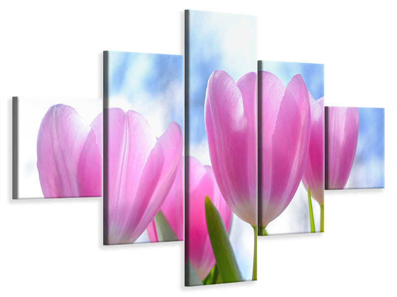 5-piece-canvas-print-tulips-in-nature