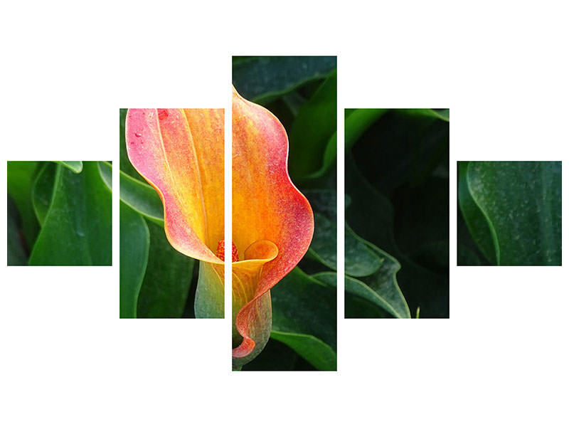 5-piece-canvas-print-wild-calla