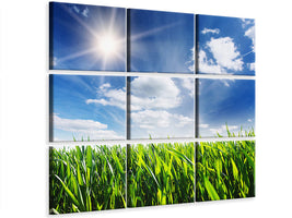 9-piece-canvas-print-spring-grass