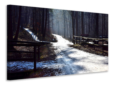 canvas-print-a-path-in-the-snow