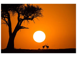 canvas-print-african-sunset-x