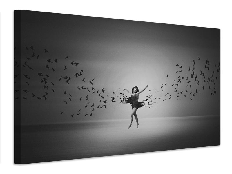 canvas-print-ballerina-flight-of-birds-x