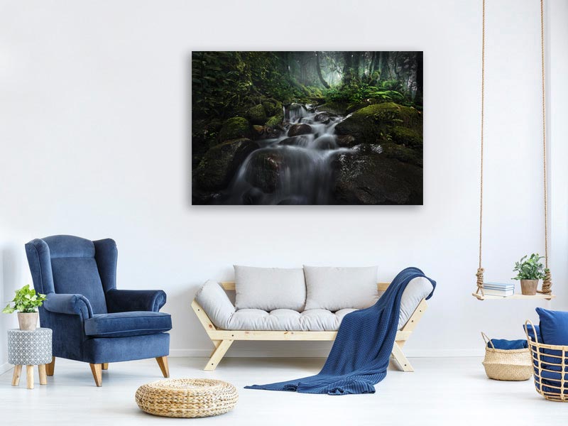canvas-print-borneo-rainforest-x