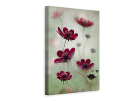 canvas-print-cosmos-sway-x