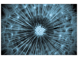 canvas-print-dandelion-x