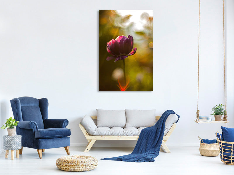 canvas-print-dark-tulips-beauty