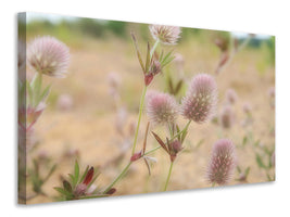 canvas-print-delicate-flowers