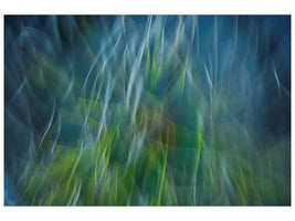 canvas-print-electroshock-blues-x