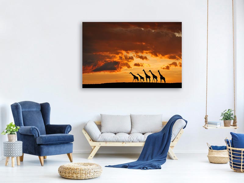 canvas-print-five-giraffes-x