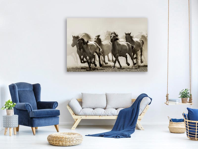 canvas-print-horse-x