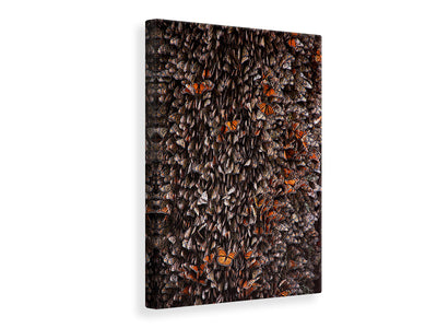 canvas-print-monarch-butterflies-during-hibernation