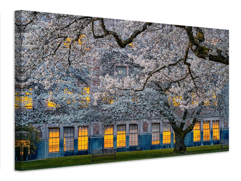 canvas-print-morning-at-university-of-washington-x