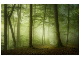 canvas-print-mysterious-spring-morning-x