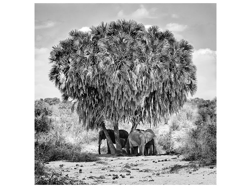 canvas-print-noon-meeting-x