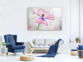 canvas-print-pastel-poppy-x