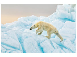 canvas-print-polar-bear-at-svalbard-x