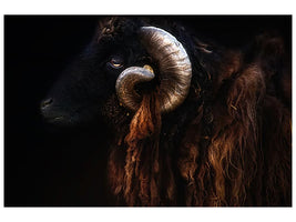 canvas-print-ram-portrait-x