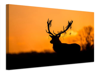 canvas-print-red-deer-stag-silhouette-x