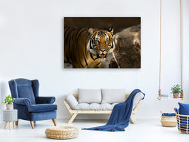 canvas-print-sibirian-tiger