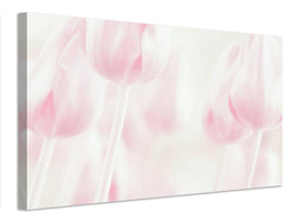 canvas-print-softness-x