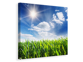 canvas-print-spring-grass