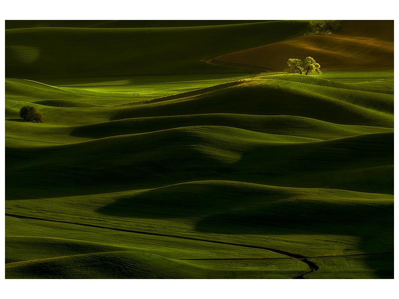 canvas-print-spring-rolling-hills-x